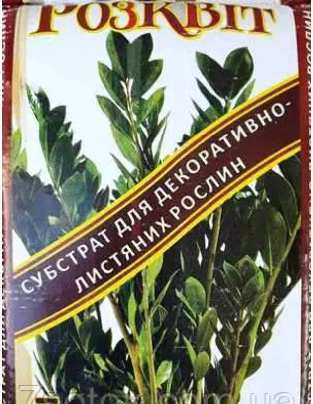 Субстрат для комнатных вечнозелёных, почвосмесь для декоративно-лиственных, 1литр ручная фасовка
Субстрат для комнатных вечнозелёных, почвосмесь для декоративно-лиственных, 1литр ручная фасовка