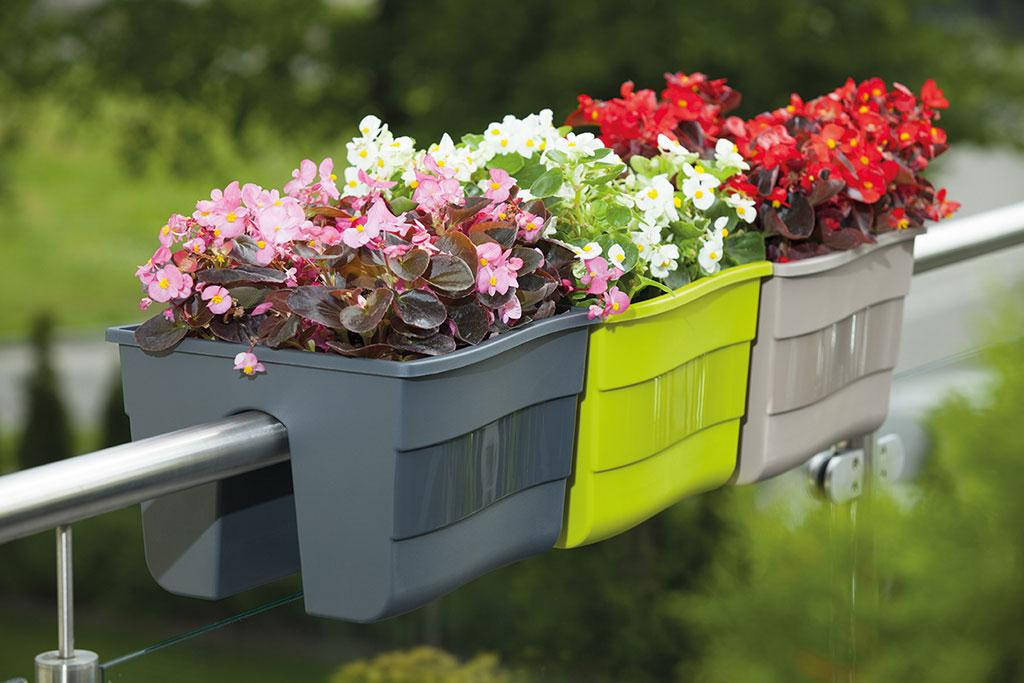 Горшок балконный на перила Form-Plastic Волна с кронштейнами 11 л 29 х 20 х 30 см, Цвет Белый
Горшок балконный на перила Form-Plastic Волна с кронштейнами 11 л 29 х 20 х 30 см, Цвет Белый