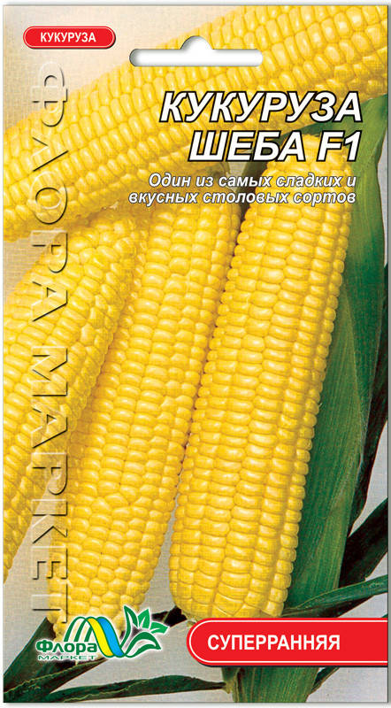 Семена кукуруза сахарная Шеба F1 3 г. Флора маркет 
Семена кукуруза сахарная Шеба F1 3 г. Флора маркет