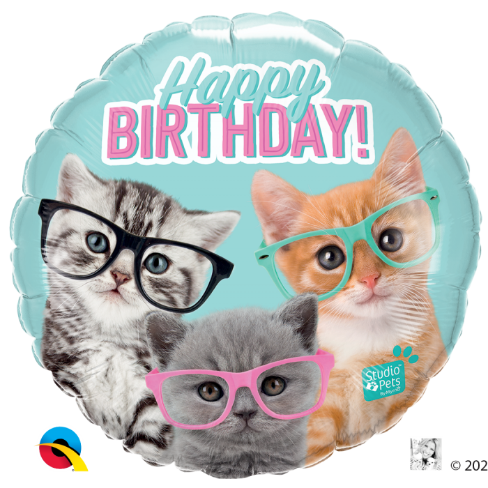 Q 18" Birthday Kittens In Glasses Pkg. Шар фольгированный С Днем рождения - В УП, Разные цвета
Q 18" Birthday Kittens In Glasses Pkg. Шар фольгированный С Днем рождения - В УП, Разные цвета