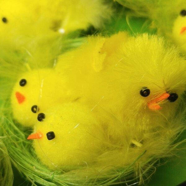 Декоративные "Курочка с цыплятами" SAC15E-0497
Декоративные "Курочка с цыплятами" SAC15E-0497