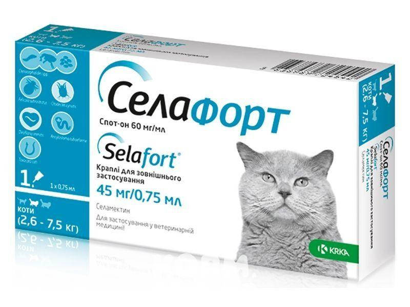 Селафорт (Selafort) капли от блох клещей и гельминтов для кошек весом 2,6-7,5 кг 1 пипетка KRKA
Селафорт (Selafort) капли от блох клещей и гельминтов для кошек весом 2,6-7,5 кг 1 пипетка KRKA
