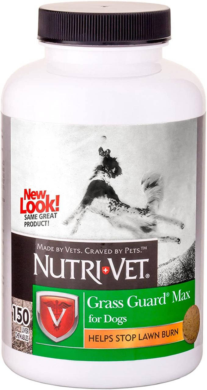 Жевательные таблетки для собак, от выжигания газонной травы Nutri-Vet Grass Guard Max 150таб
Жевательные таблетки для собак, от выжигания газонной травы Nutri-Vet Grass Guard Max 150таб