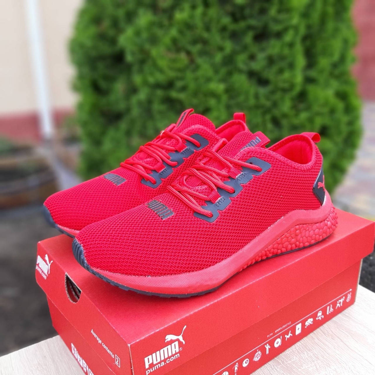 Puma Hybrid мужские летние красные кроссовки на шнурках. Весенние мужские на сетке кроссы., Красный
Puma Hybrid мужские летние красные кроссовки на шнурках. Весенние мужские на сетке кроссы., Красный