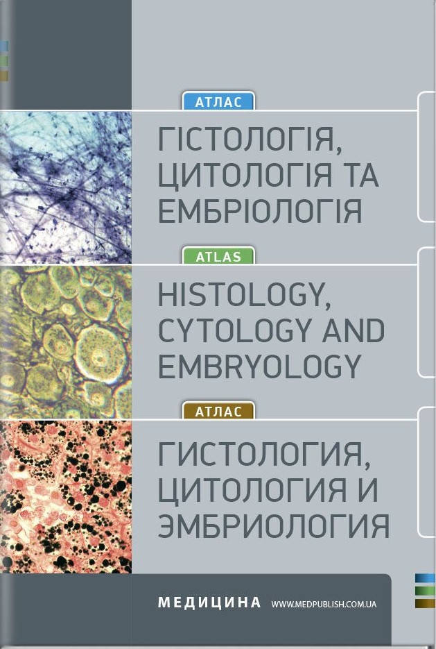 Гістологія, цитологія та ембріологія. Атлас: навчальний посібник (ВНЗ ІІІ—IV р.а.). Степаненко О.Ю.
Гістологія, цитологія та ембріологія. Атлас: навчальний посібник (ВНЗ ІІІ—IV р.а.). Степаненко О.Ю.