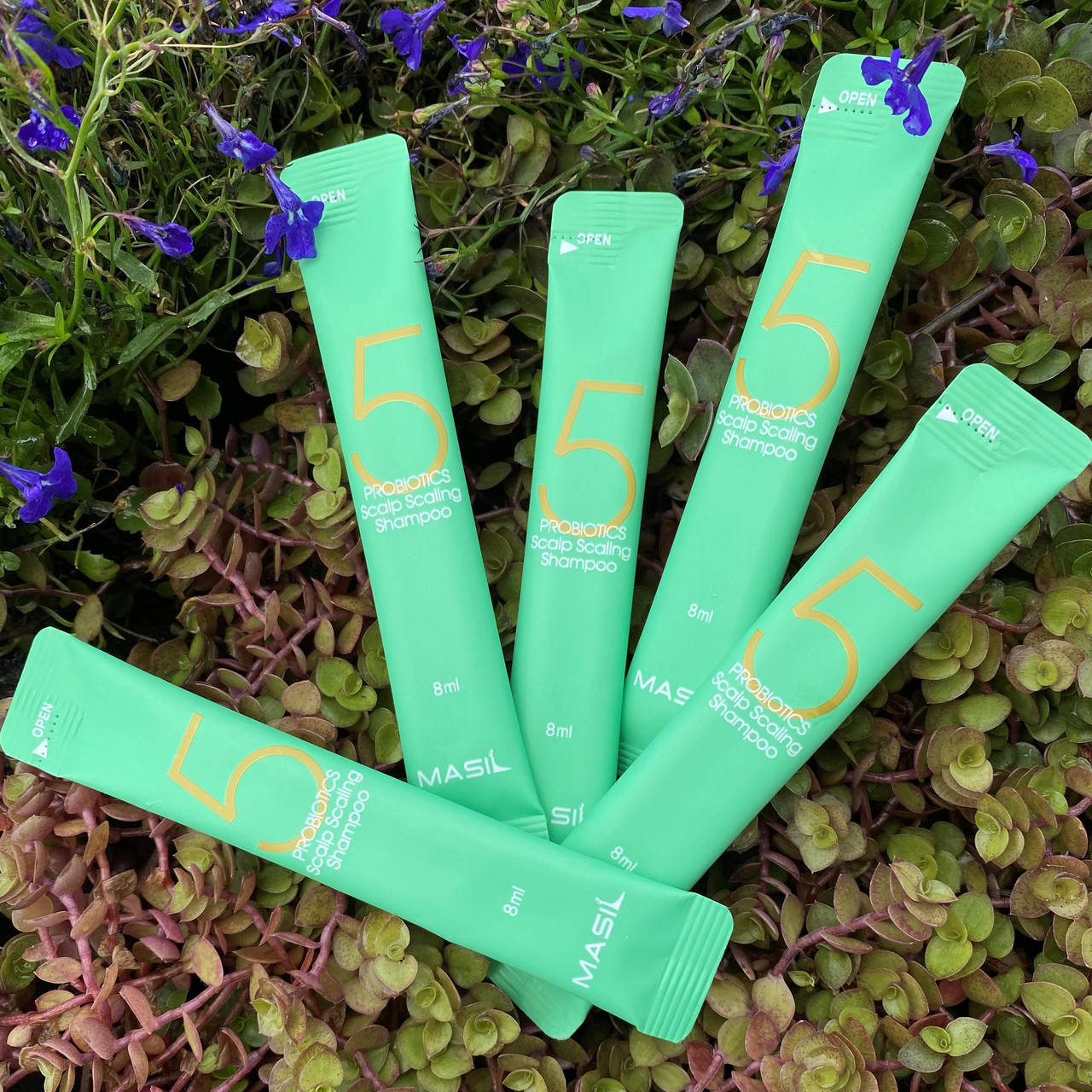 Шампунь для глубокого очищения кожи головы Masil 5 Probiotics Scalp Scaling Shampoo 8 ml
Шампунь для глубокого очищения кожи головы Masil 5 Probiotics Scalp Scaling Shampoo 8 ml