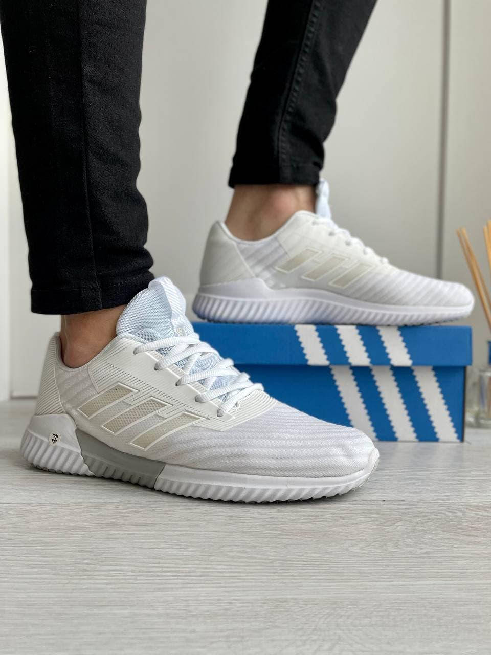 Мужские кроссовки летние Сетка Adidas Clima Адидас Белые весна/лето Размеры 41 42 43 44 45 46, Белый
Мужские кроссовки летние Сетка Adidas Clima Адидас Белые весна/лето Размеры 41 42 43 44 45 46, Белый