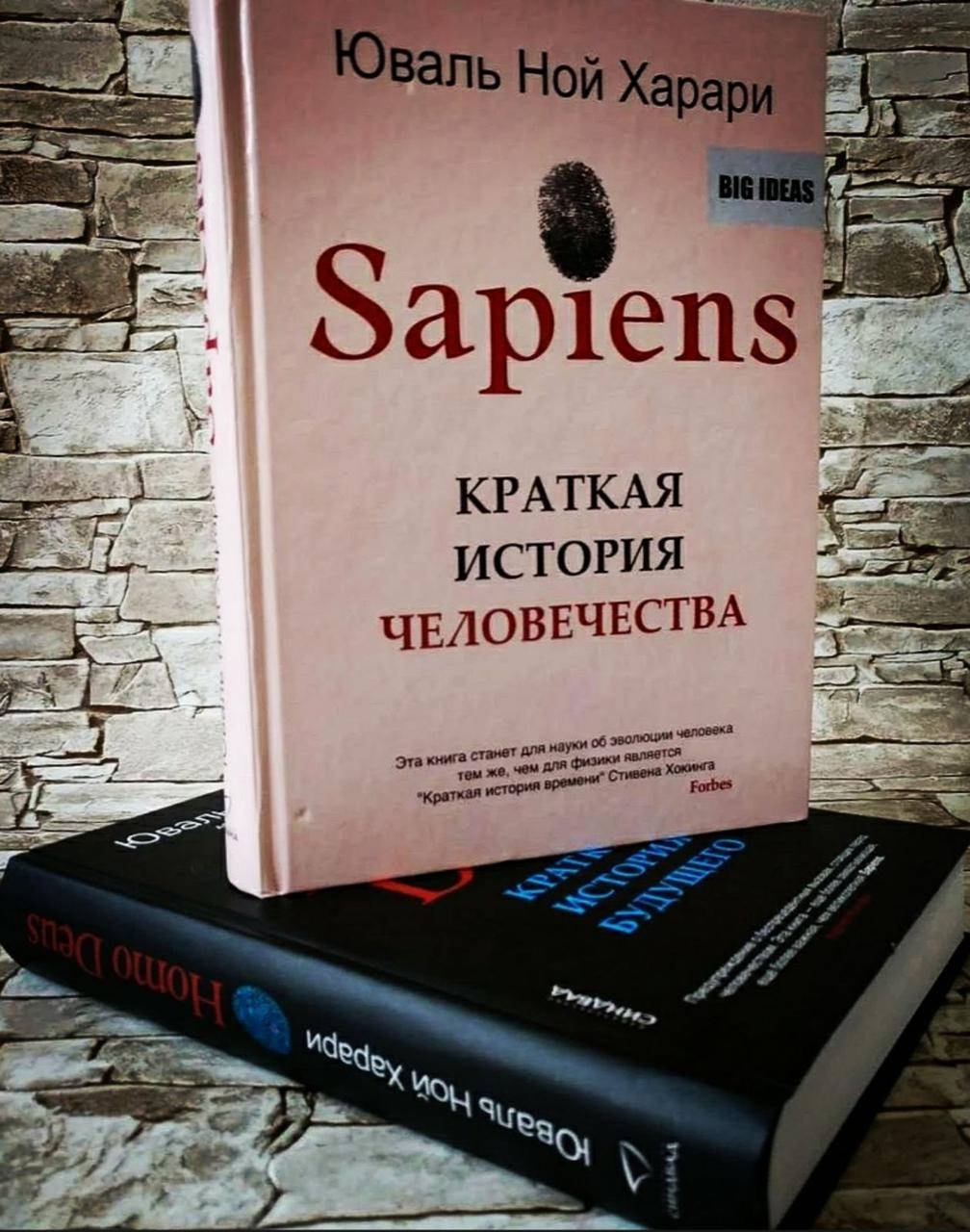 Набор книг "Homo Deus" Краткая история будущего, "Sapiens" Краткая история человечества Юваль Ной Харари ТВ
Набор книг "Homo Deus" Краткая история будущего, "Sapiens" Краткая история человечества Юваль Ной Харари ТВ