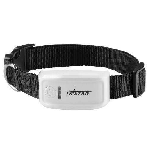 GPS ошейник для собак TKSTAR TK909, Белый
GPS ошейник для собак TKSTAR TK909, Белый