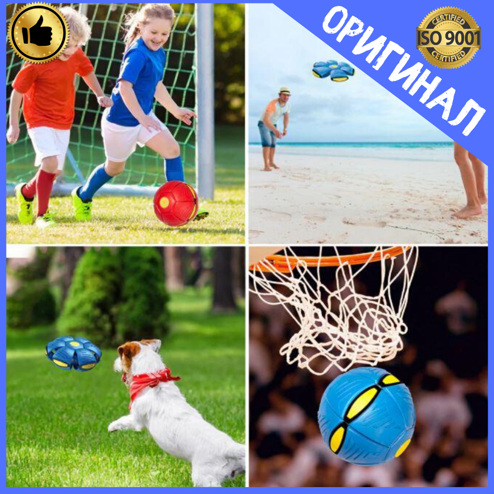 Мяч трансформер "Phlat Ball ", плоский мяч - трансформер складной, летающий шар фрисби, плоский мяч, Синий
Мяч трансформер "Phlat Ball ", плоский мяч - трансформер складной, летающий шар фрисби, плоский мяч, Синий