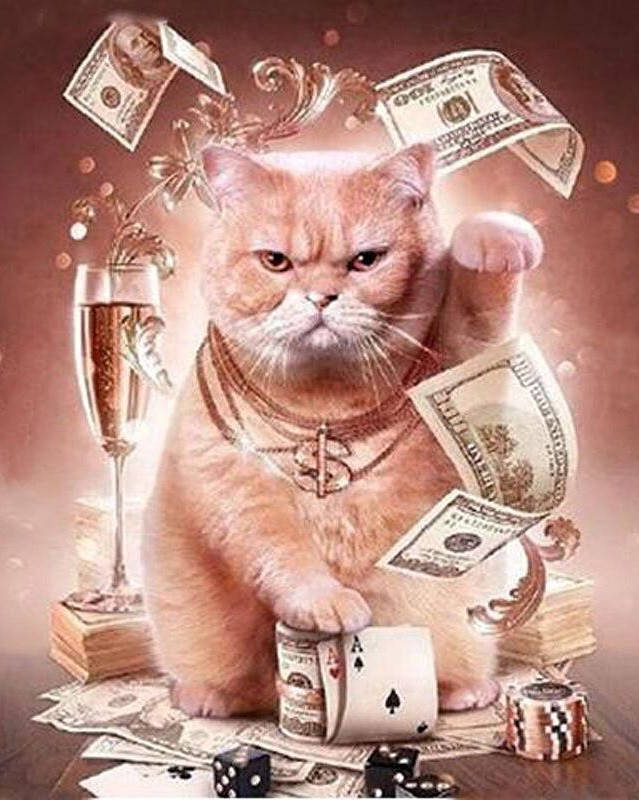 Набор Алмазная мозаика вышивка 40х50 "Денежный котик " (квадратные стразы, полная выкладка, на подрамнике)
Набор Алмазная мозаика вышивка 40х50 "Денежный котик " (квадратные стразы, полная выкладка, на подрамнике)