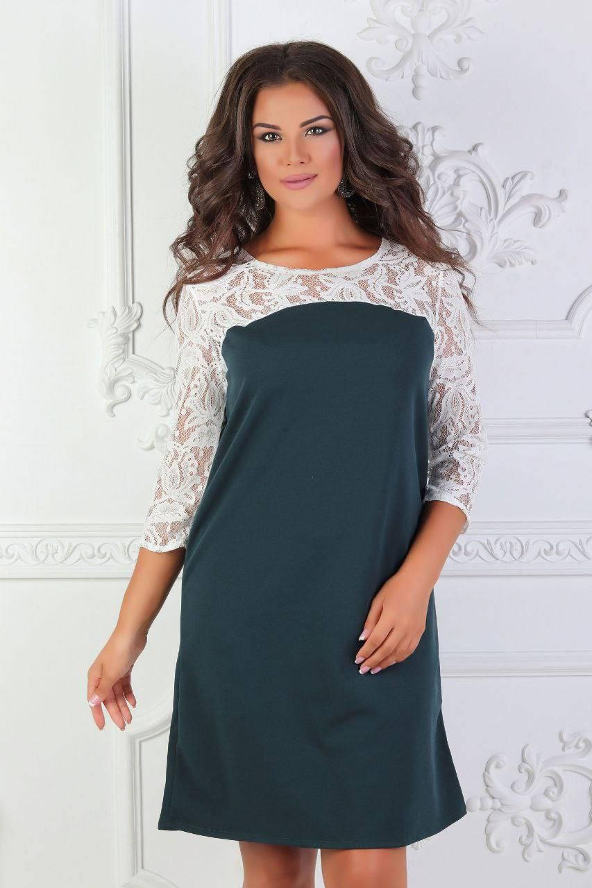 Платье женское крепдайвинг +гипюр р.42-60(4цв) "VLADA" купить недорого от прямого поставщика
Платье женское крепдайвинг +гипюр р.42-60(4цв) "VLADA" купить недорого от прямого поставщика