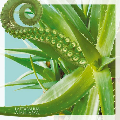 Latexfauna– Ajahuaska Season 2, 2019 (Mv 0019-1) Moon Records/UKraine Mint Виниловая пластинка (art.237134)
Latexfauna– Ajahuaska Season 2, 2019 (Mv 0019-1) Moon Records/UKraine Mint Виниловая пластинка (art.237134)