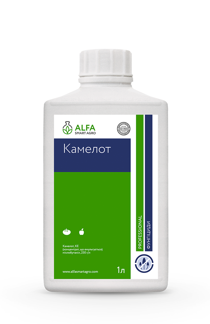 Фунгіцид ALFA Smart Agro Камелот (1л)
Фунгіцид ALFA Smart Agro Камелот (1л)