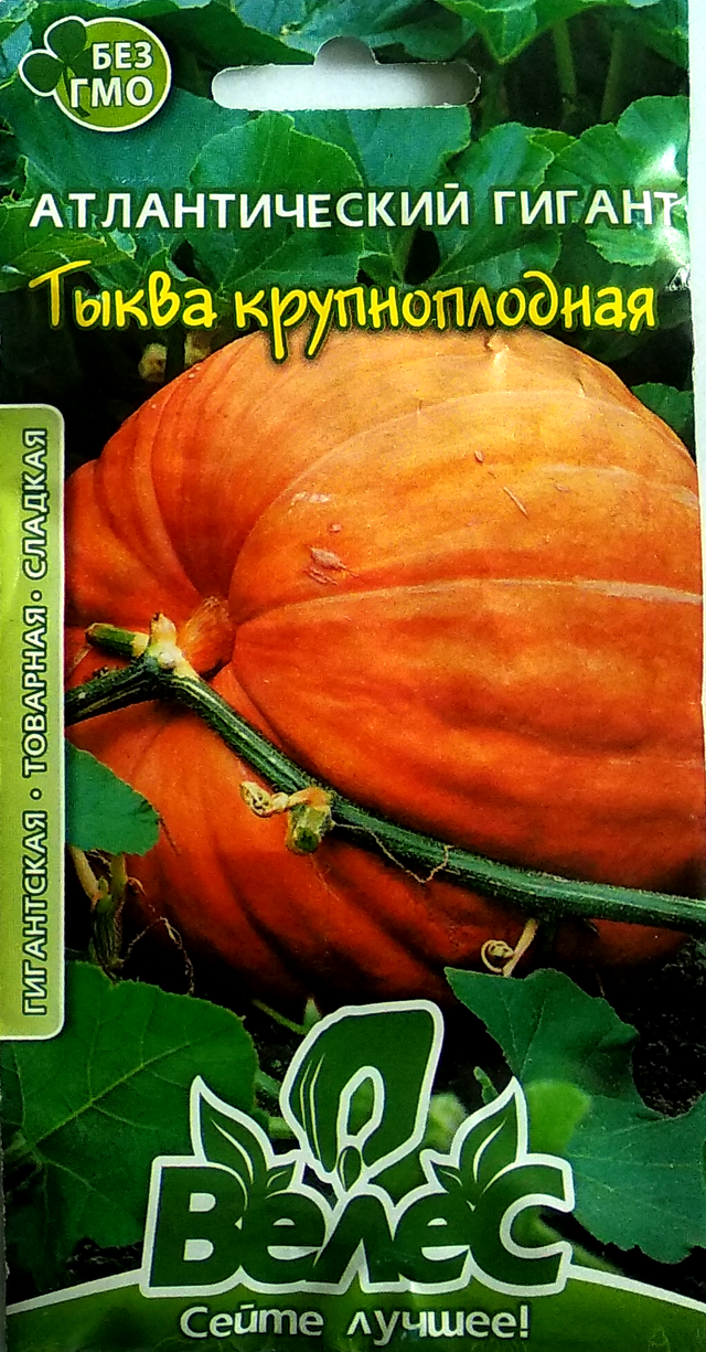 Семена тыквы Атлантический гигант 2г ТМ ВЕЛЕС
Семена тыквы Атлантический гигант 2г ТМ ВЕЛЕС