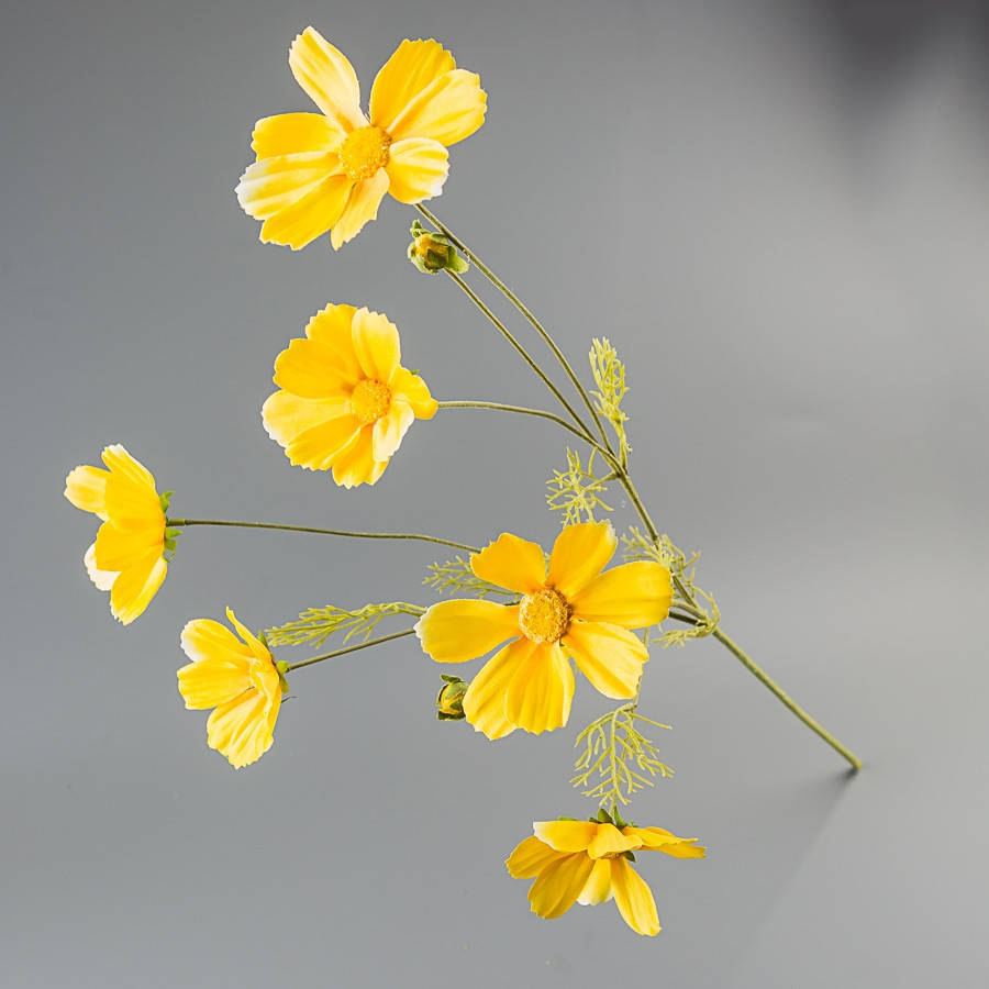 Космея (90 см)
Космея (90 см)