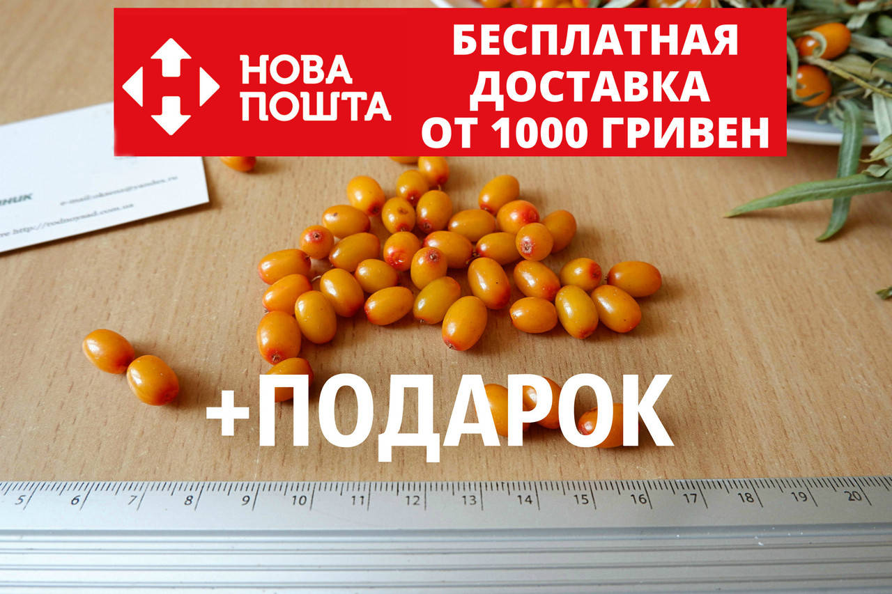 Облепиха "Чуйская" семена (20шт) (насіння для саджанців)семечка, косточка для выращивания саженцев
Облепиха "Чуйская" семена (20шт) (насіння для саджанців)семечка, косточка для выращивания саженцев