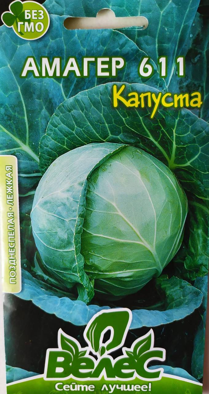 Капуста Амагер
Капуста Амагер