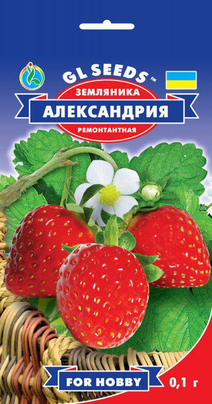 Земляника Александрия один из лучших безусых ремонтантных зимостойких сортов, упаковка 0,1 г
Земляника Александрия один из лучших безусых ремонтантных зимостойких сортов, упаковка 0,1 г