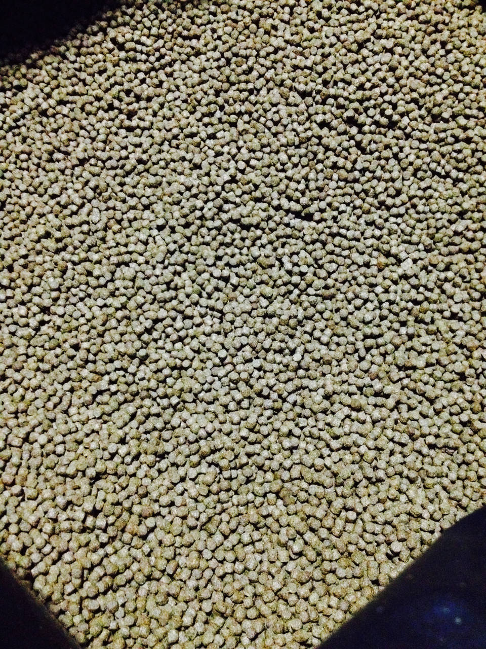 ПЛАВАЮЩИЙ КОРМ ДЛЯ КОИ И ЗОЛОТЫХ РЫБОК Coppens Koi Top (Коппенс Кои Топ) премиум класса, фракция 3мм
ПЛАВАЮЩИЙ КОРМ ДЛЯ КОИ И ЗОЛОТЫХ РЫБОК Coppens Koi Top (Коппенс Кои Топ) премиум класса, фракция 3мм