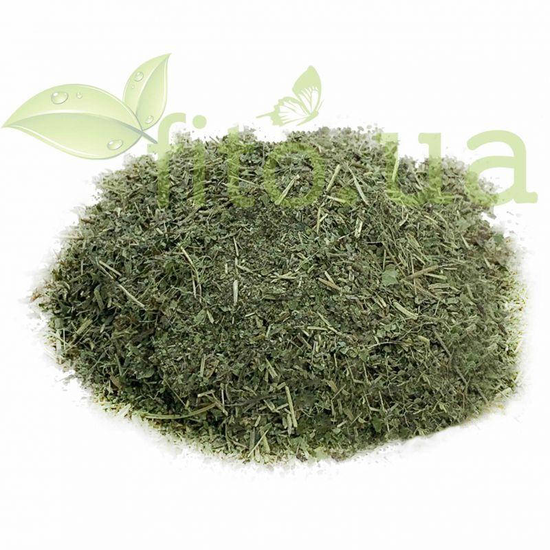 Плющ лист 50 гр. 
Плющ лист 50 гр.