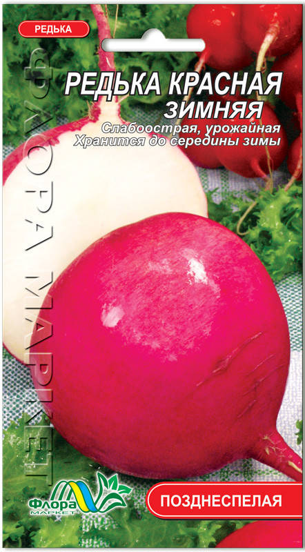 Редька красная зимняя
Редька красная зимняя