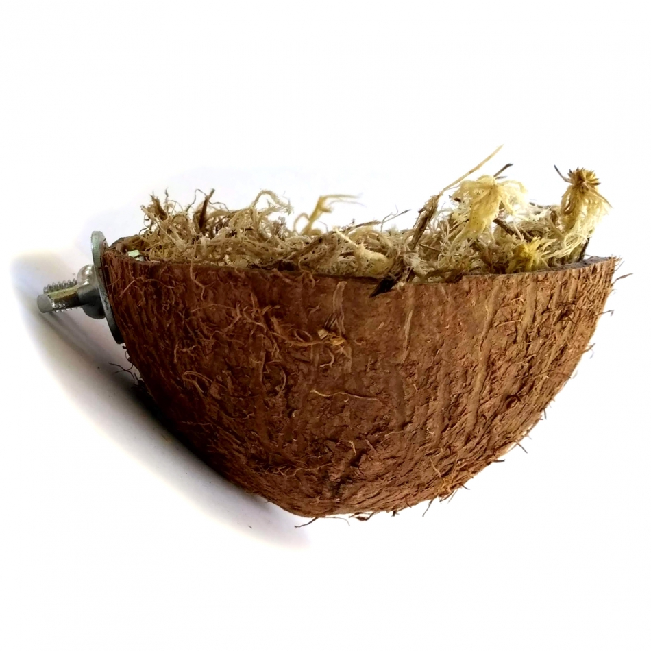 Гнездо из Кокоса для птиц, наполнитель мох сфагнум Zelena Zoo 
Гнездо из Кокоса для птиц, наполнитель мох сфагнум Zelena Zoo