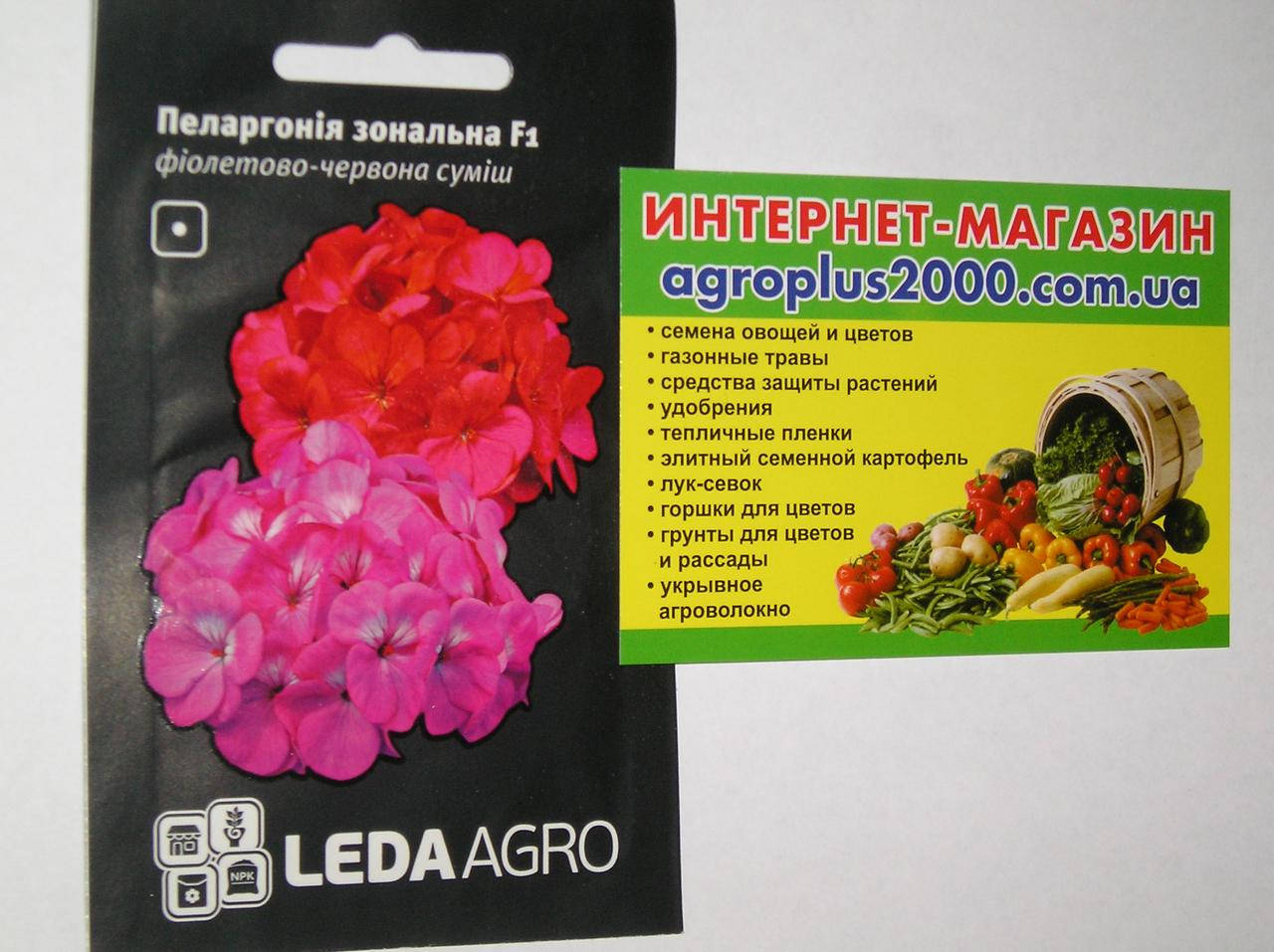Семена Пеларгония зональная Фиолетово-Красная смесь 5 семян Cerny Seed LedaAgro, Разные цвета
Семена Пеларгония зональная Фиолетово-Красная смесь 5 семян Cerny Seed LedaAgro, Разные цвета