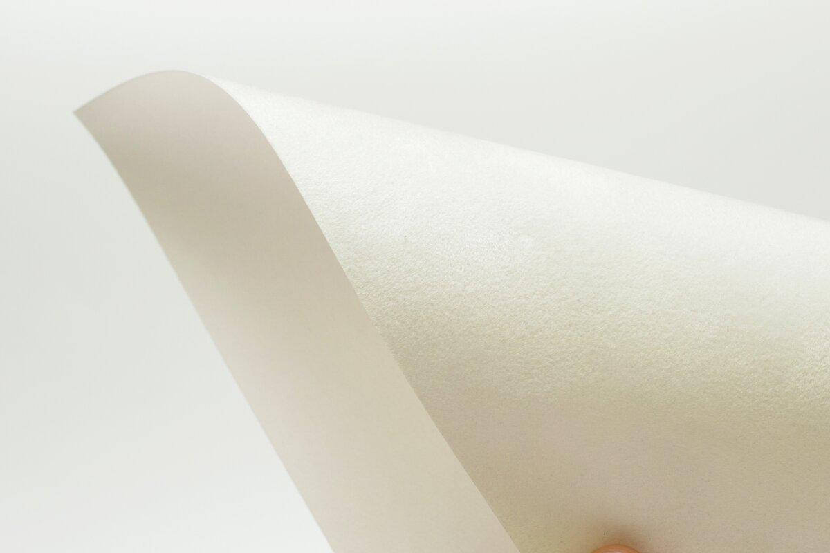 Dainel SG neige
Dainel SG neige