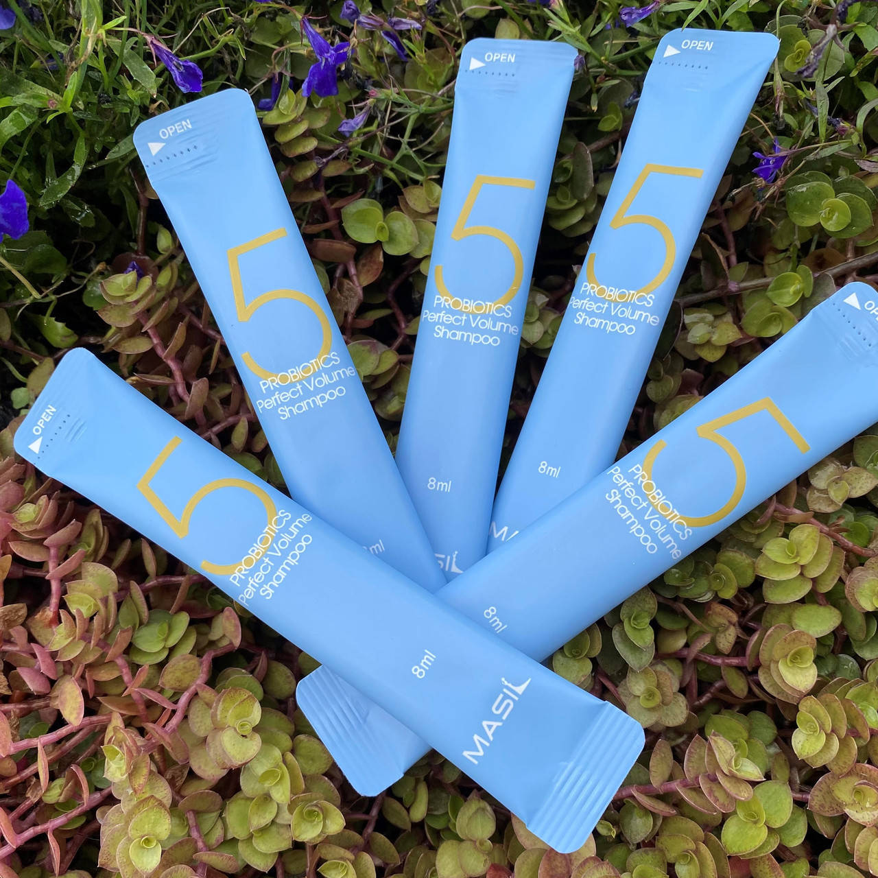 Шампунь с пробиотиками для идеального объема волос Masil 5 Probiotics Perfect Volume Shampoo 8 ml
Шампунь с пробиотиками для идеального объема волос Masil 5 Probiotics Perfect Volume Shampoo 8 ml
