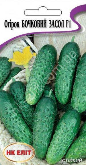 Огірок Бочковий засол F1 20шт 
Огірок Бочковий засол F1 20шт