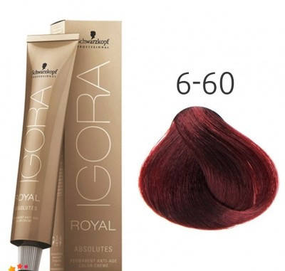 Стойкая краска для седых волос SCHWARZKOPF Igora Royal Absolutes 60 мл 6-60 Темный русый шоколадный натуральный
Стойкая краска для седых волос SCHWARZKOPF Igora Royal Absolutes 60 мл 6-60 Темный русый шоколадный натуральный