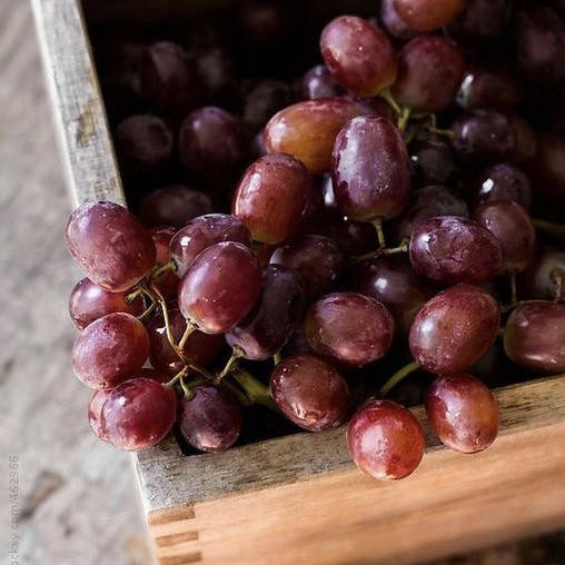 Жирное масло виноградной косточки (рафинированное), 50 г
Жирное масло виноградной косточки (рафинированное), 50 г