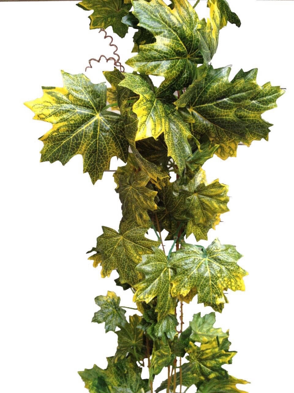 Искусственная лиана - клён с желтинкой. 
Искусственная лиана - клён с желтинкой.