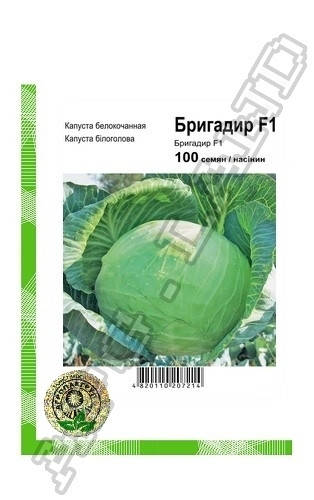 Капуста белокочанная Бригадир F1 - 100 семян А (Clause Tezier)
Капуста белокочанная Бригадир F1 - 100 семян А (Clause Tezier)