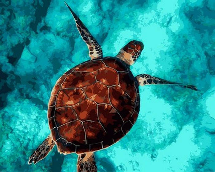 Картины по номерам Mariposa Черепашья отмель (MR-Q2154) 40 х 50 см 
Картины по номерам Mariposa Черепашья отмель (MR-Q2154) 40 х 50 см