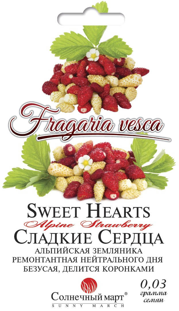 Семена земляники Сладкие сердца смесь 0,03г ТМ СОЛНЕЧНЫЙ МАРТ
Семена земляники Сладкие сердца смесь 0,03г ТМ СОЛНЕЧНЫЙ МАРТ