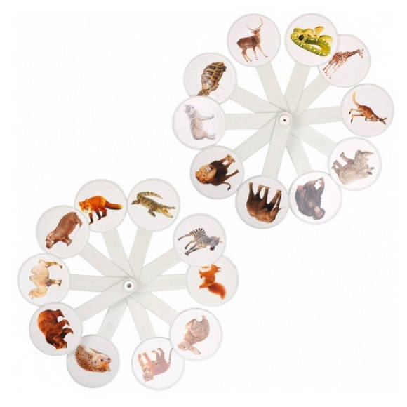 Веер учебный "Дикие животные"
Веер учебный "Дикие животные"