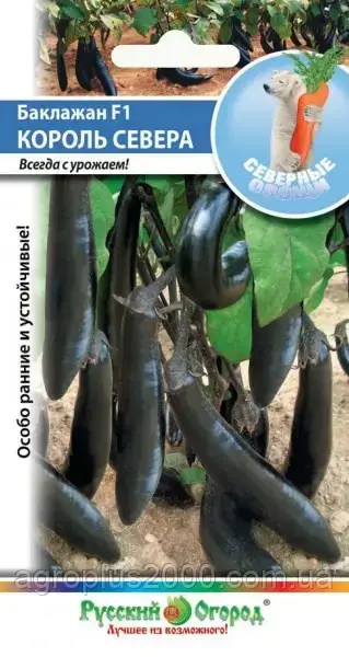 Семена Баклажан Король севера F1, 35 семян Семена НК
Семена Баклажан Король севера F1, 35 семян Семена НК