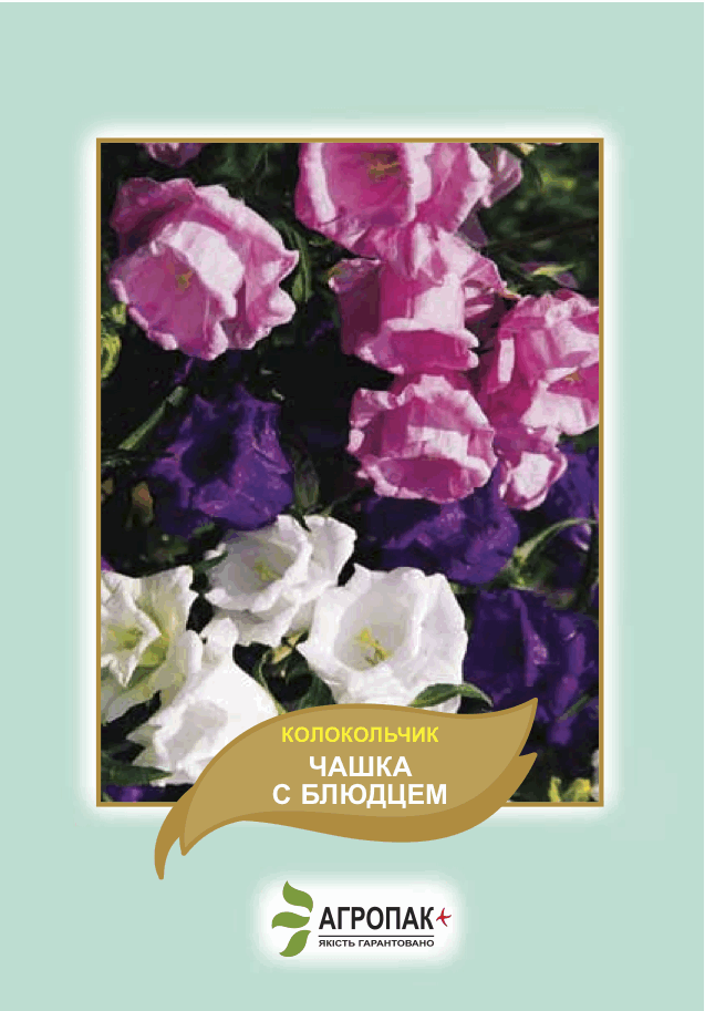 Семена цветов Колокольчик чашка с блюдцем Агропак плюс, Разные цвета 
Семена цветов Колокольчик чашка с блюдцем Агропак плюс, Разные цвета