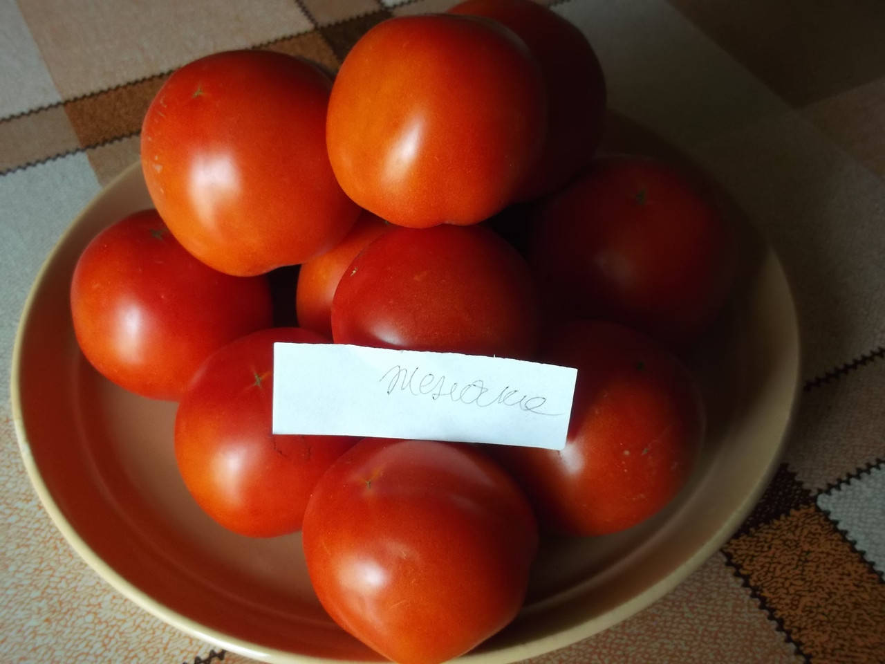 Томат Женечка Отзывы Фото Урожайность Характеристика – Telegraph