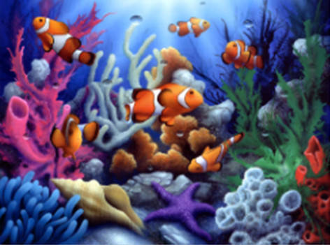 Алмазная мозаика Коралловый риф 30*40см без рамки 40*8*5см (H8387)
Алмазная мозаика Коралловый риф 30*40см без рамки 40*8*5см (H8387)