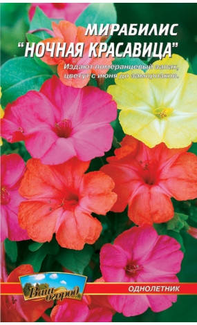 Мирабилис Ночная красавица
Мирабилис Ночная красавица