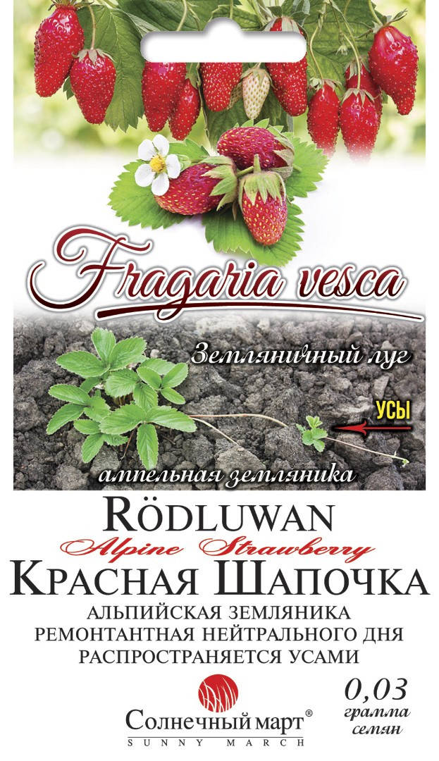 Земляника Красная шапочка, 0,03г.
Земляника Красная шапочка, 0,03г.