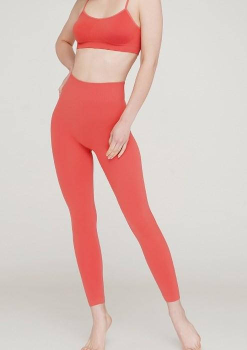 Бесшовные леггинсы с широким поясом тм Giulia Leggings model 1 S/M, burnt coral(коралловый)
Бесшовные леггинсы с широким поясом тм Giulia Leggings model 1 S/M, burnt coral(коралловый)