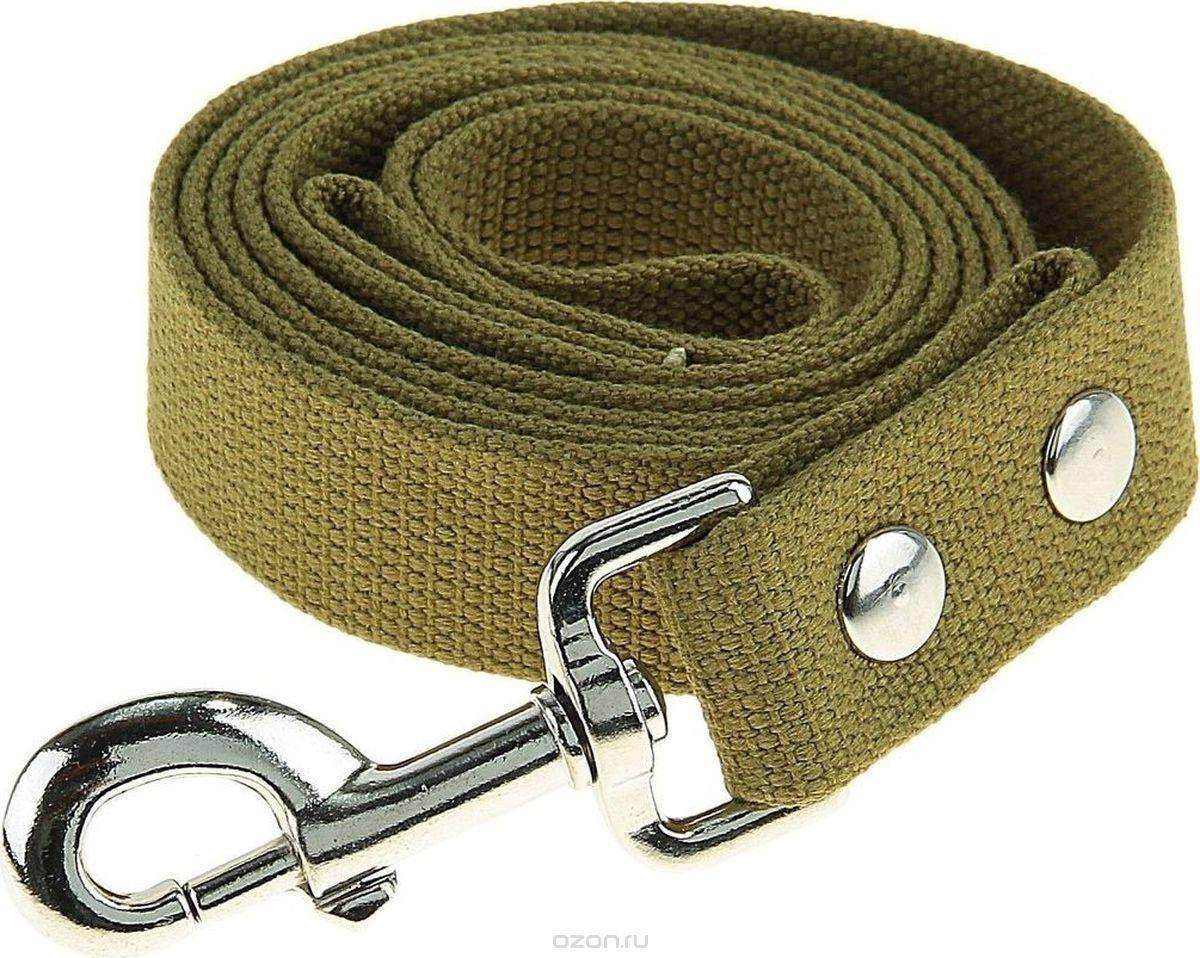 Поводок брезентовый для собак 1,5 м длина, 35 мм ширина, Зелёный
Поводок брезентовый для собак 1,5 м длина, 35 мм ширина, Зелёный