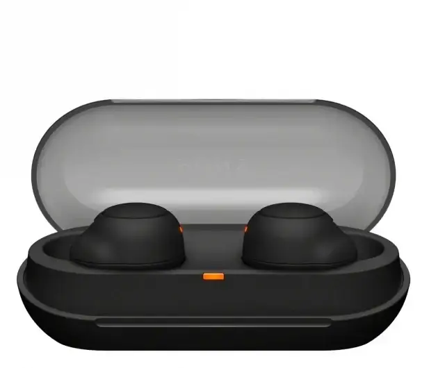 Наушники TWS Sony WF-C500 Black (WFC500B.CE7) 
Наушники TWS Sony WF-C500 Black (WFC500B.CE7)