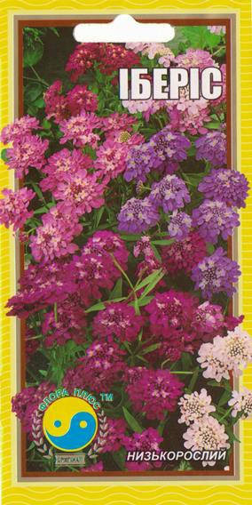 Семена цветов Иберис, 0,3 г. Флора плюс, Разные цвета
Семена цветов Иберис, 0,3 г. Флора плюс, Разные цвета