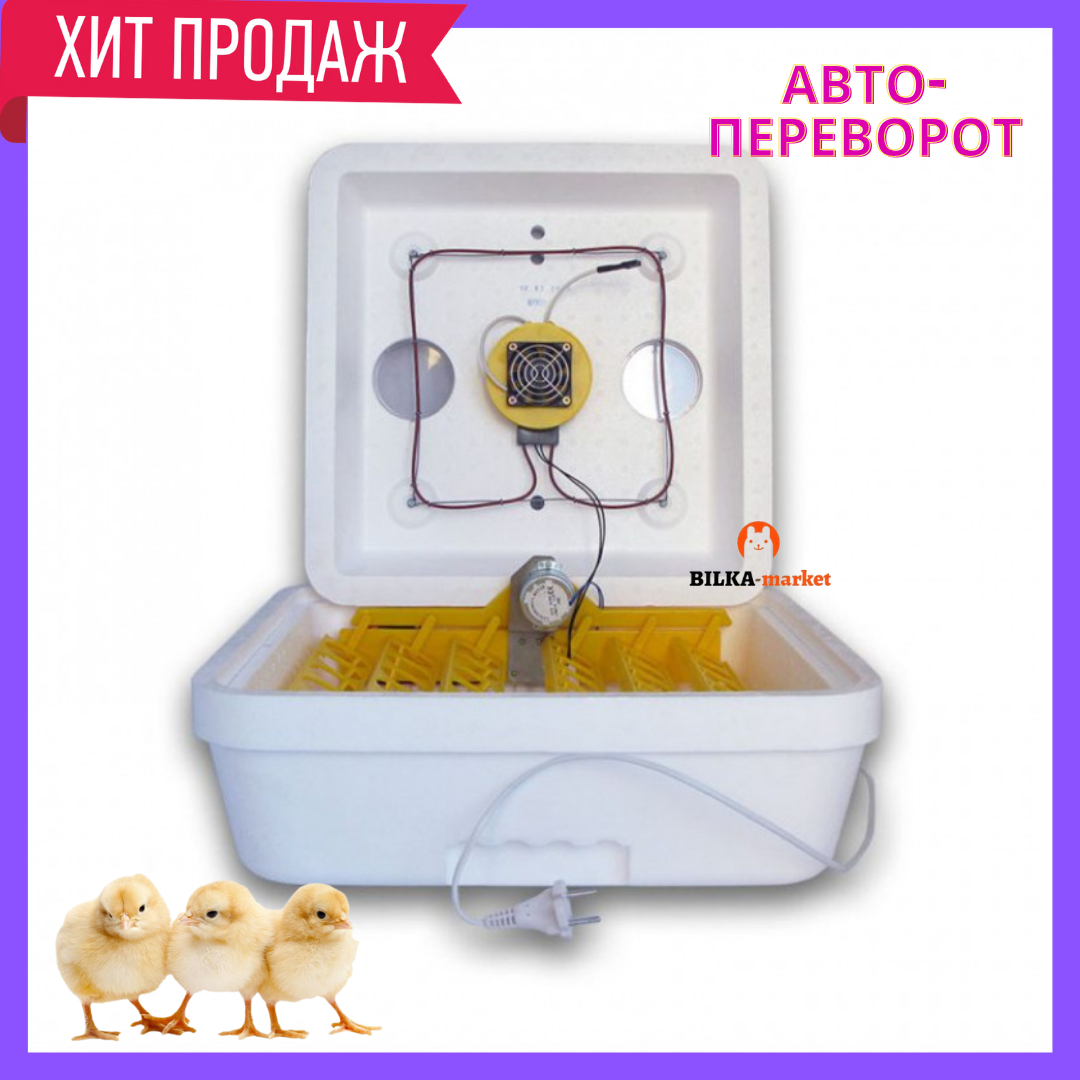 Инкубатор с автоматическим переворотом яиц с вентилятором и микропроцессором «Веселое семейство»-2ВПТ
Инкубатор с автоматическим переворотом яиц с вентилятором и микропроцессором «Веселое семейство»-2ВПТ