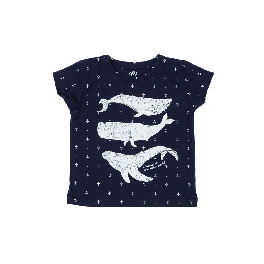 Футболка для мальчика Фламинго
Футболка для мальчика Фламинго